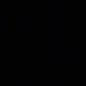 Meet your Posher, Bailey