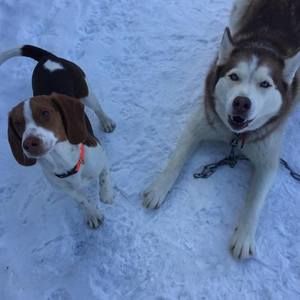 Meet your Posher, Paula