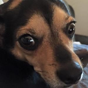 Meet your Posher, Sue