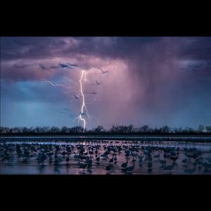 Meet your Posher, Dominick