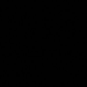 Meet your Posher, Karlee