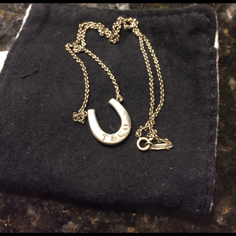 Tiffany&Co. horse shoe necklace