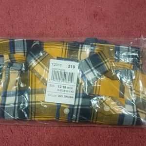 Gold & Blue plaid outfit