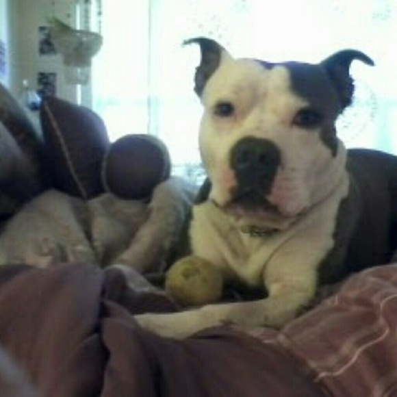 🌺🌼New 8/1/18 15%off bundles of 2+❤️😎 - Picture 4 of 8