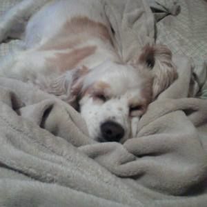 Meet your Posher, Kari