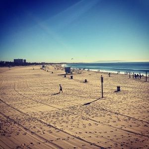 Meet your Posher, Gavin