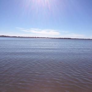 Meet your Posher, Dale