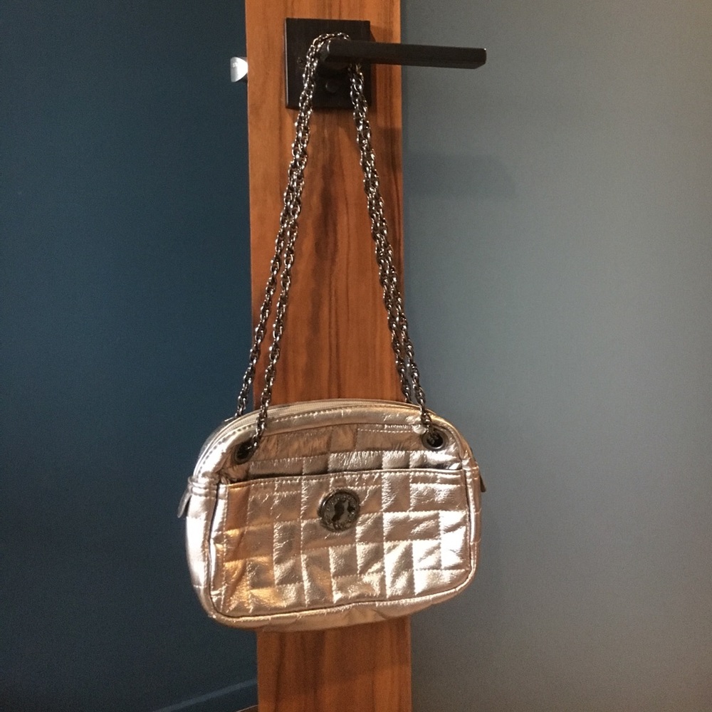 Silver metallic purse