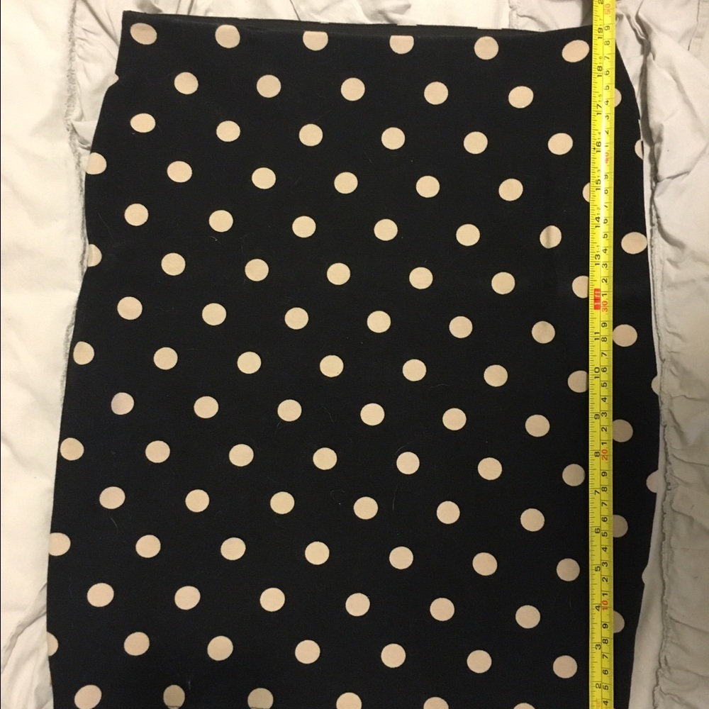 Ann Taylor Polka Dot Skirt