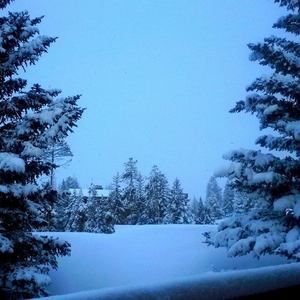 Meet your Posher, Valerie