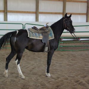 Meet your Posher, Cynthia