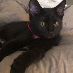 Meet your Posher, Rhonda