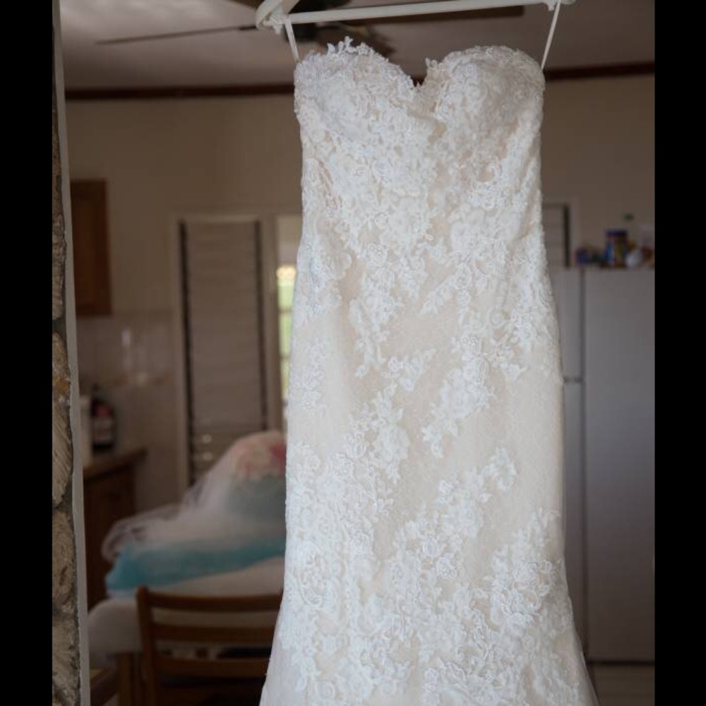 Pronovias Princia Wedding Dress
