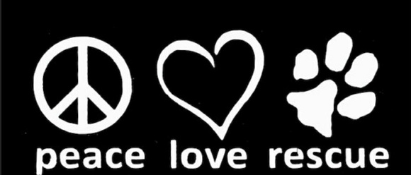 Meet your Posher, Jillian - Picture 4 of 8