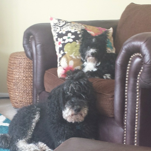 Meet your Posher, Jillian - Picture 6 of 8