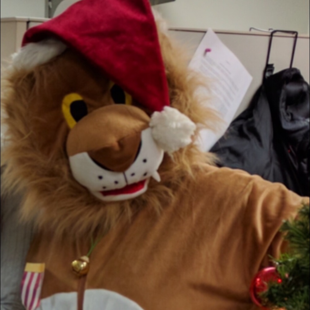 Lion Costume 女