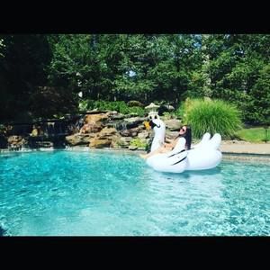 Meet your Posher, Cary