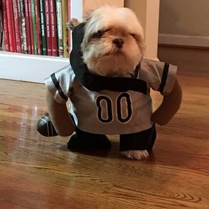 Meet your Posher, Lynn