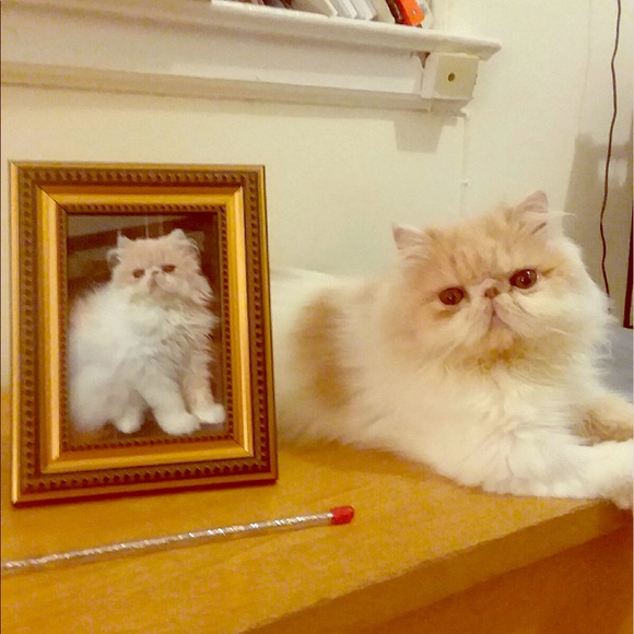 🔹NEW LISTINGS NOTIFICATION🔹 - Picture 2 of 4