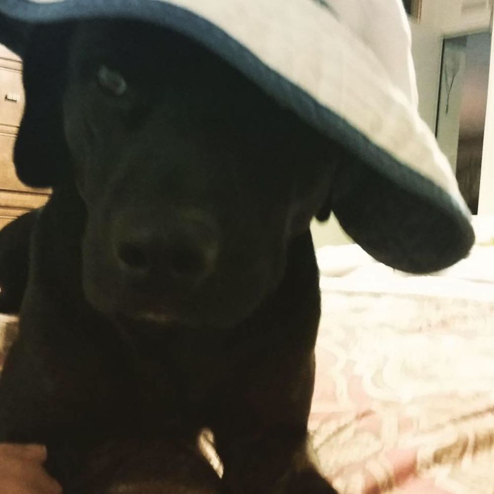 Meet your Posher, Olivia