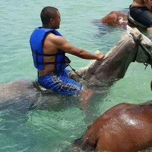 Meet your Posher, Dee