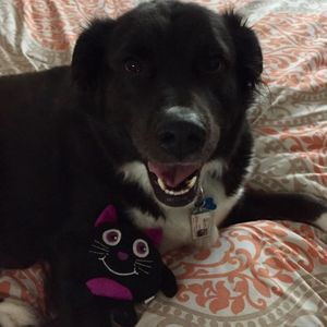 Meet your Posher, Ray