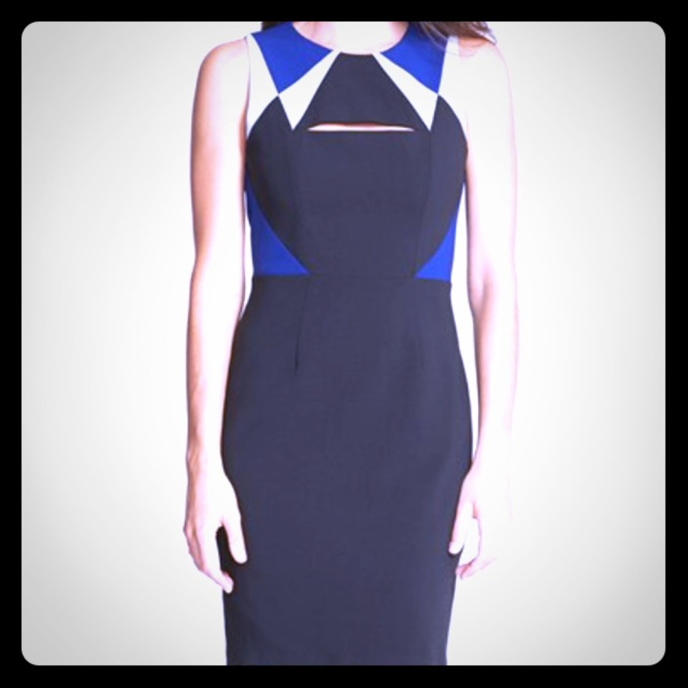 Bcbg dress