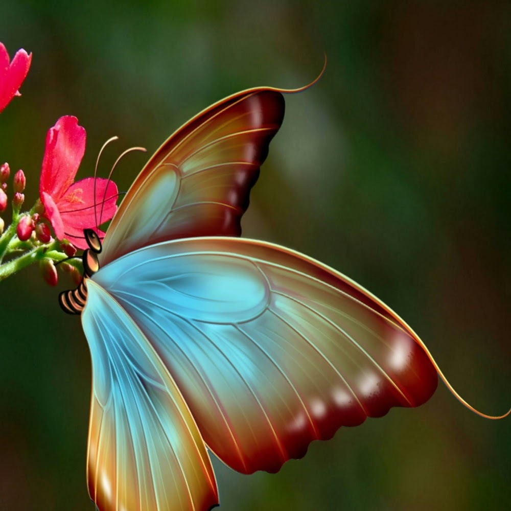 Meet your Posher, Jaritza