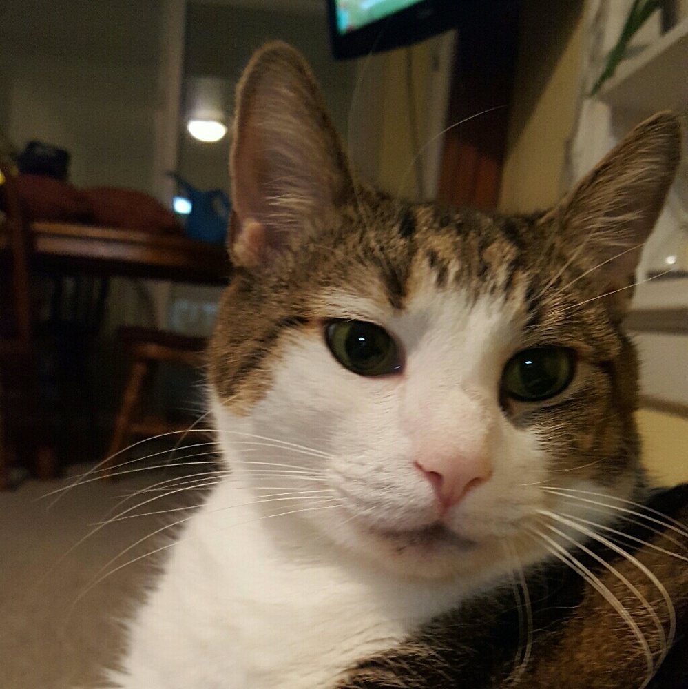 Meet your Posher, Jessica