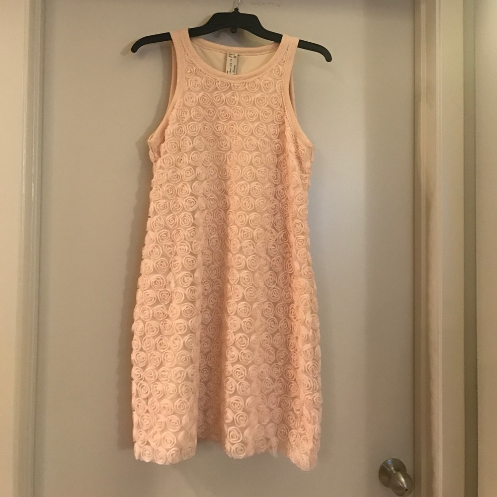 Blush pink rose dress