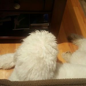 Meet your Posher, Jill