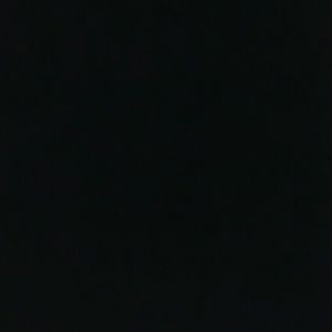 Meet your Posher, Bailey