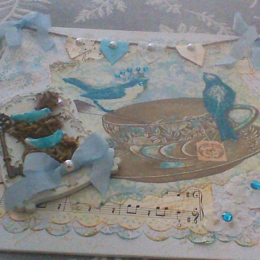 Meet your Posher, Cathy