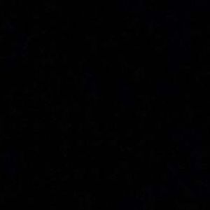 Meet your Posher, Ann