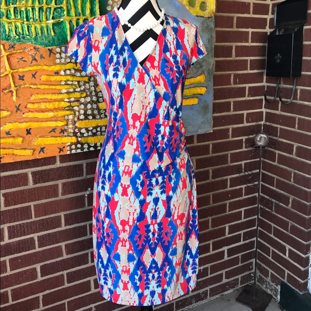 Jones New York Signature Gorgeous Dress