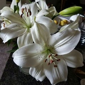 Meet your Posher, Ciera