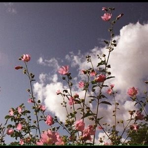 Meet your Posher, Dakota