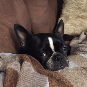 Meet your Posher, Liz