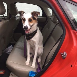 Meet your Posher, Alena