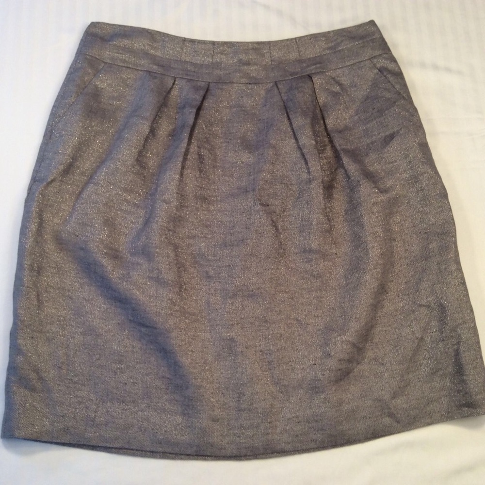 Talbots Skirt