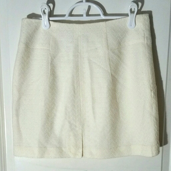 The Limited Skirt - Picture 2 of 3