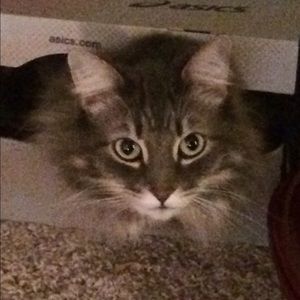 Meet your Posher, Cindy