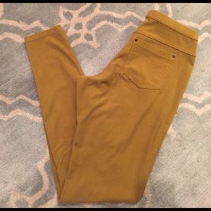 Hue Mustard Leggings