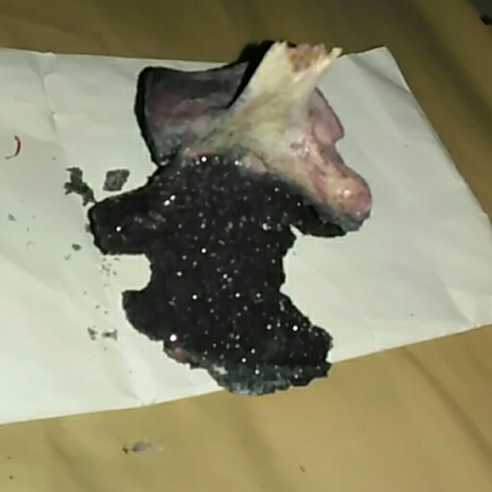 Black crystallized deer vertabre