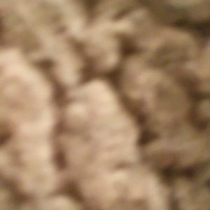 Meet your Posher, Dena