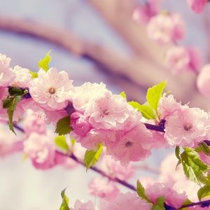 Meet your Posher, Fernanda