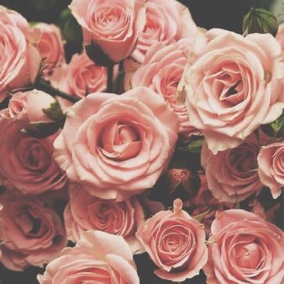 Meet your Posher, Alyssa - Picture 2 of 2