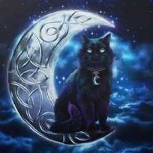 Meet your Posher, Kitty