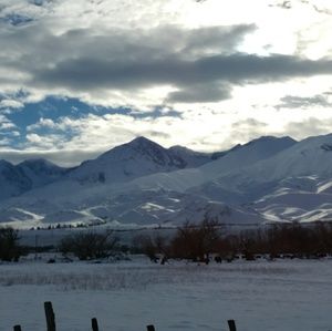 Meet your Posher, Nicolette