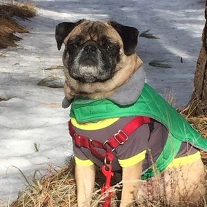 Meet your Posher, Shelly